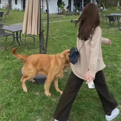 爱的时差